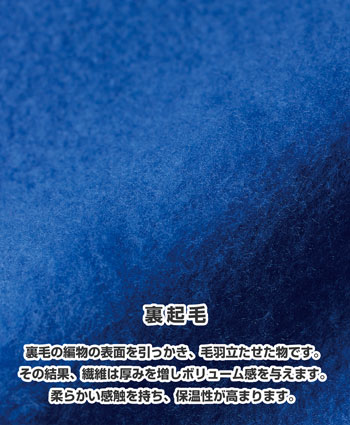 裏起毛